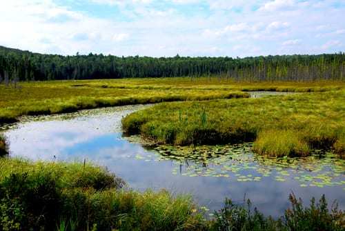 EPA's New Waters of the U.S. Rule