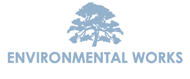 ewi logo