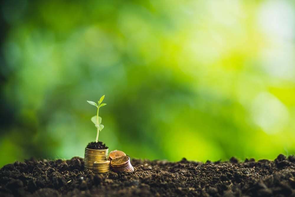 Close-up of soil, stack of coins, tiny plant growing on top of coins