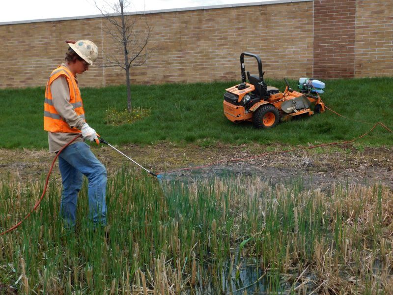 EWI Field Technician Josh Mann sprays a small grouping of cattails.