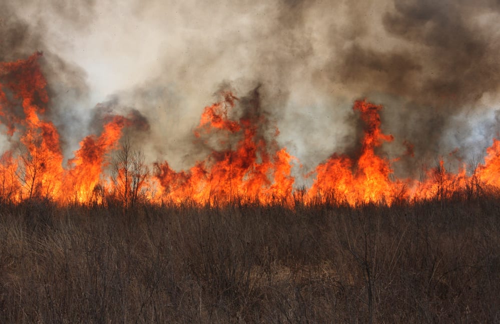 Active wildfire in a field, smoke in sky