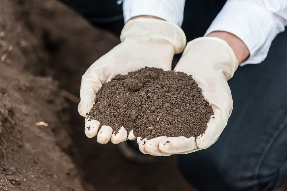 Gloves hands holding brown dirt outside