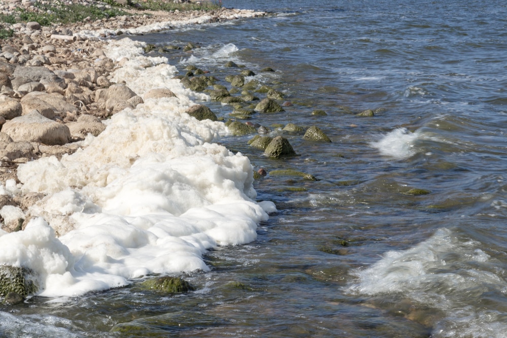 Contaminated water, foamy waves on shoreline