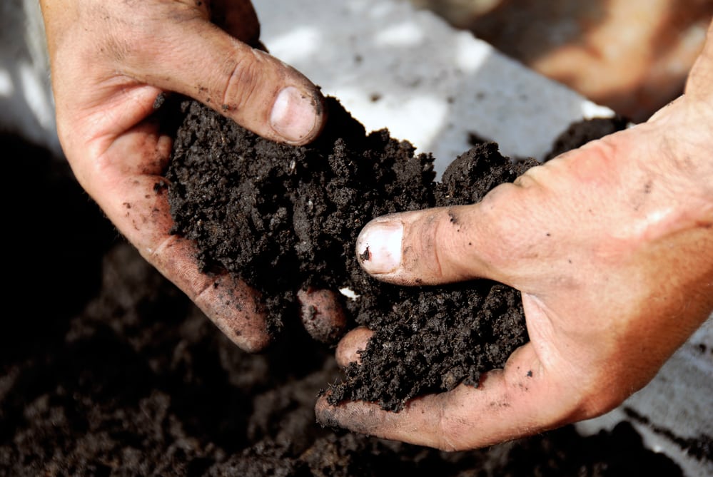 Hands holding dark soil above the ground